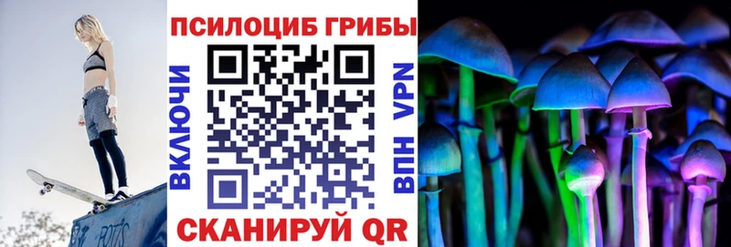 Купить закладки  Любань  Псилоцибиновые грибы MAGIC MUSHROOMS 